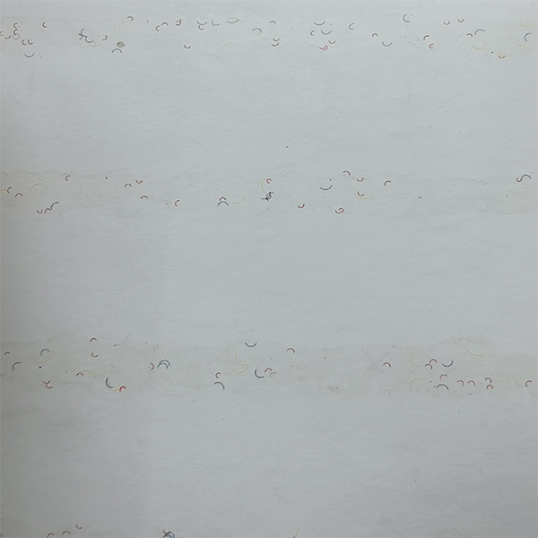 纤维纸